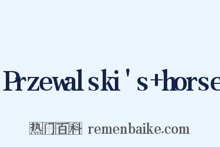 Przewalski's+horse是什么意思的图片